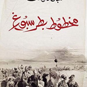 مخطوط بطرسبورغ