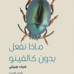 ماذا نفعل بدون كالفينو