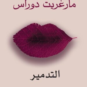 التدمير