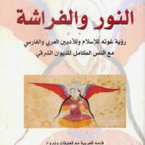 النور والفراشة