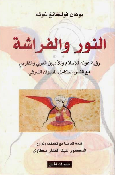 النور والفراشة النور والفراشة