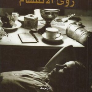 رؤى الانقسام