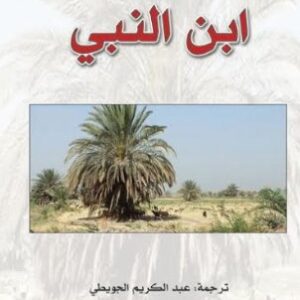 ابن النبي