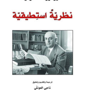 نظرية استطيقية