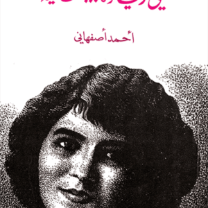 مي زيادة… صحافية