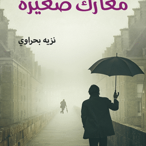 معارك صغيرة