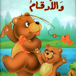 الدببة والأرقام