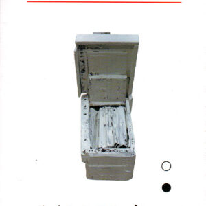 بين الثقافة والسياسة