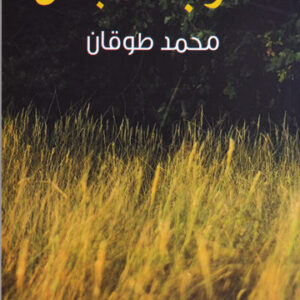 الدرب الأجمل