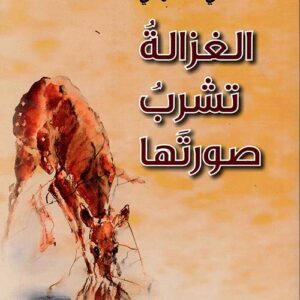 الغزالة تشرب صورتها