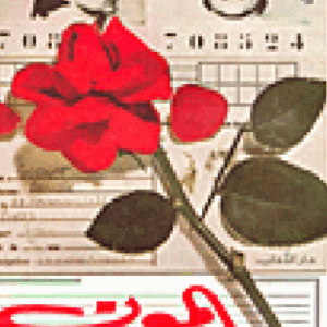 الموت حبًّا…