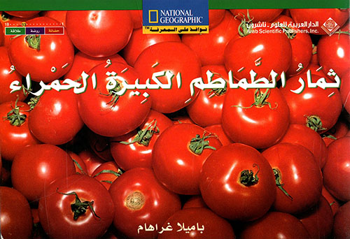 (ثمار الطماطم الكبيرة الحمراء(لغتين (ثمار الطماطم الكبيرة الحمراء(لغتين