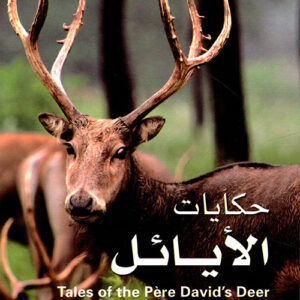 سلسلة حيوانات الصين النادرة – حكايات الأيائل