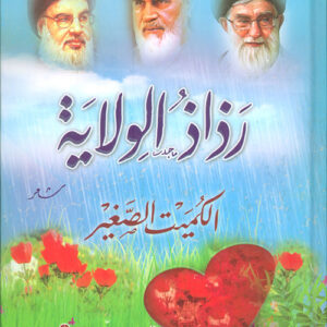 رذاذ الولاية