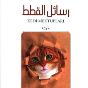 رسائل القطط