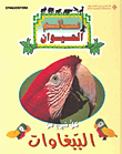 كل شيءعن الببغاوات-كرتونه
