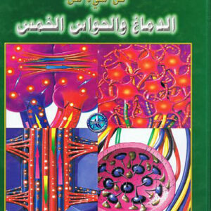 كل  شيء عن الدماغ والحواس الخمس