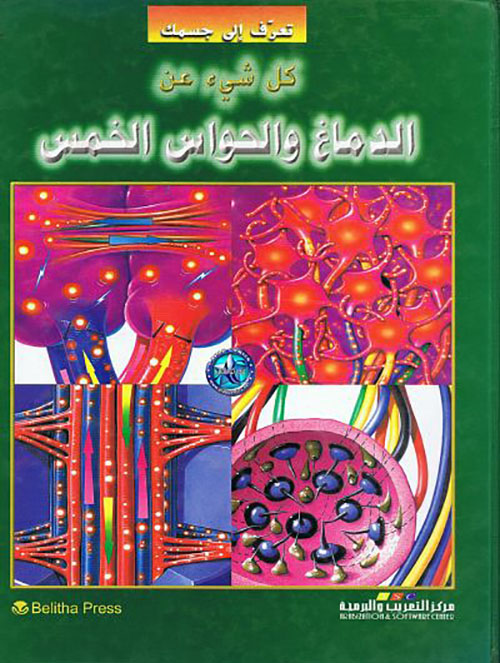 كل شيء عن الدماغ والحواس الخمس كل شيء عن الدماغ والحواس الخمس