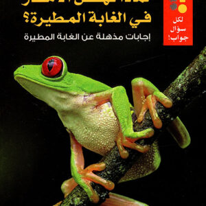 لماذا تهطل الامطار في الغابة المطيرة ؟