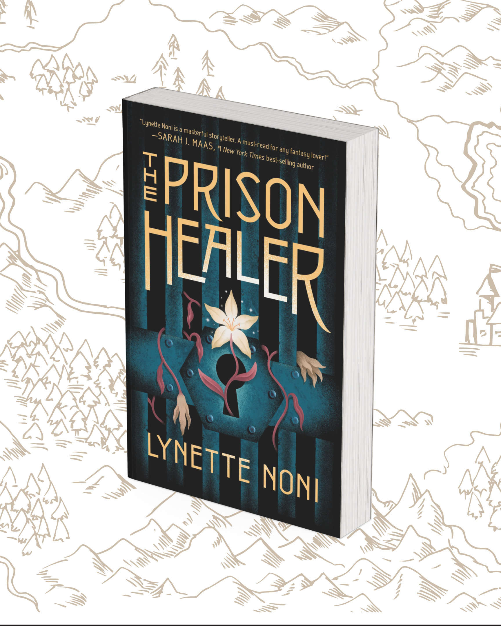 the prison healer the prison healer