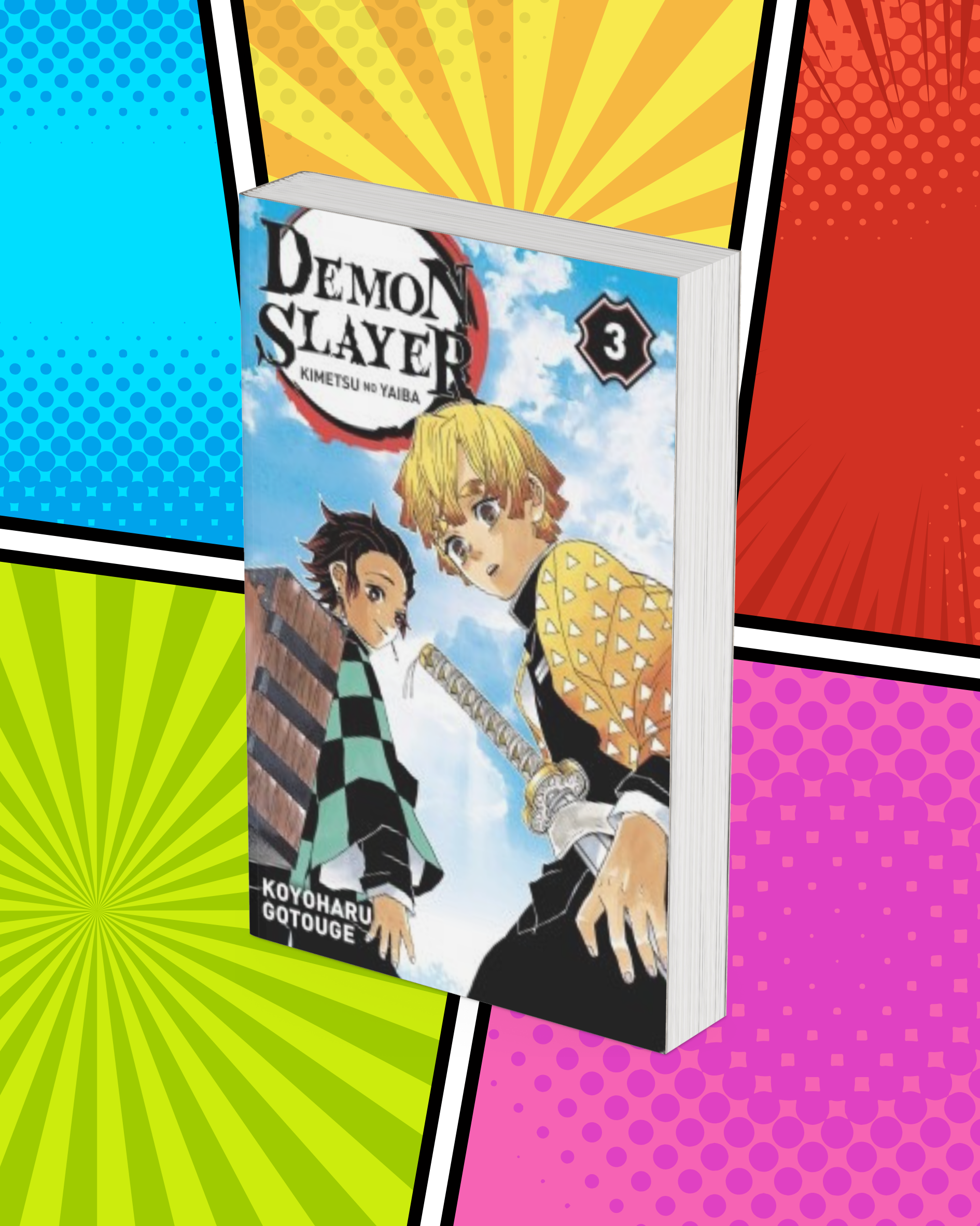 Demon Slayer Volume 3 Demon Slayer Volume 3