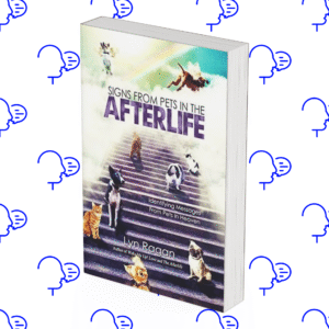 Signs from pets in the afterlife