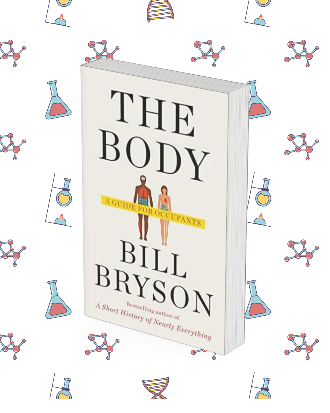The Body The Body