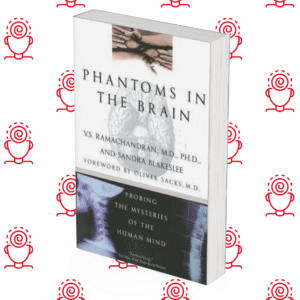 Phantoms in the brain